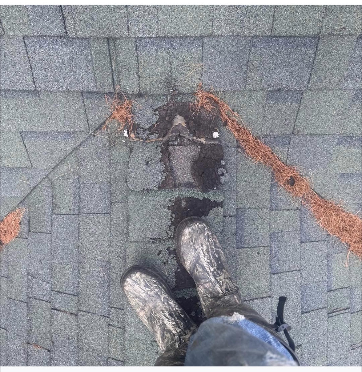 Roof inspection showing storm damaged shingles